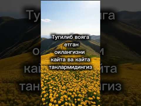 Тугилиб вояга етган оилангизни Shortvideo Hikmatlisozlar Youtubeshorts Love Trending