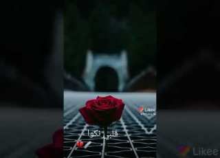 عمري نطفى مثل الشمع حالات واتس اب حزينه