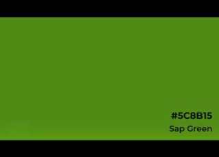 Sap Green The Color Of Living Growth