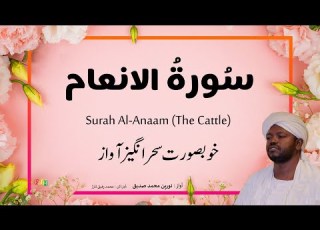 6 Surah Al Anaam س ورة الانعام Beautiful Quran Recitation By Qari Noreen Muhammad Siddique