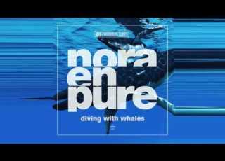  Nora En Pure Diving With Whales