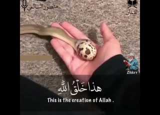  هذا خلق الله الشيخ منصور السالمي بصوت جميل