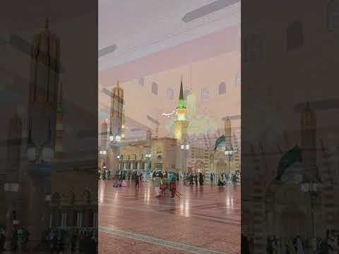 Qalbi Qalbi Pure Blessings In The Heart