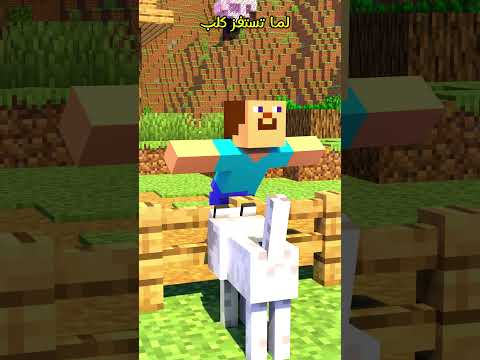 لما تستفز كلب Minecraft ماين كرافت مشاهير Shorts ميمز انميشن Trend ترند Short