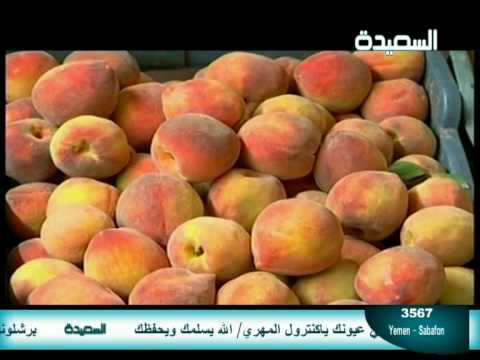 املؤ الدنيا ابتساما ايوب طارش