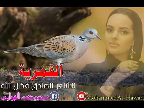 الشاعر الصادق فضل الله القمرية