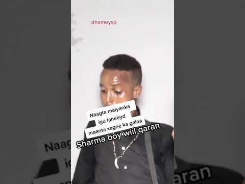 Sharma Boy Laacib Soo Jabay