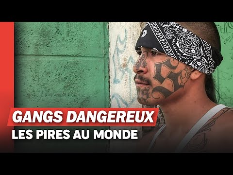 Salvador Au Cœur De La Guerre Des Gangs Salvador Au Cœur De La Guerre Des Gangs