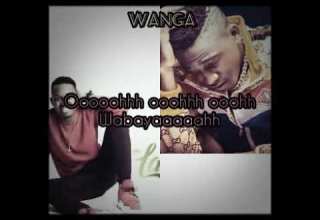 Meja Kunta X Lava Lava Wanga Official Lyrics Video