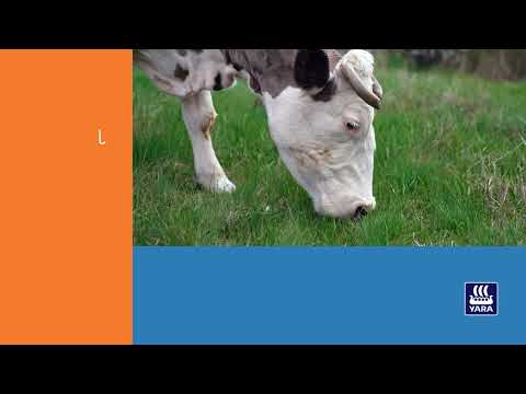 PHOSPRO 17 Huongeza Uzito Na Hamu Ya Kula Kwa Ng Ombe Mbuzi Na Kondoo