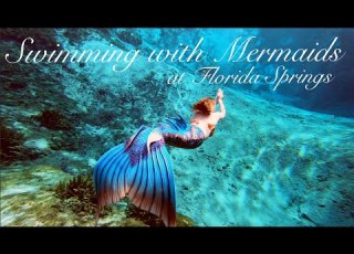 Florida Springs Swimming With Mermaids