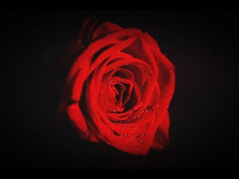 Romantic Turkish Music Türk Aşk şarkıları Turkish Music Sad Instrumental Songs