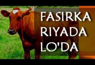 Fasirka Riyada Lo Da Iyo Hilibka Iyo Caanaha Lo Da Oo Faahfaahsan 