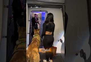 أحضرت معها كلب عملاق للطائرة