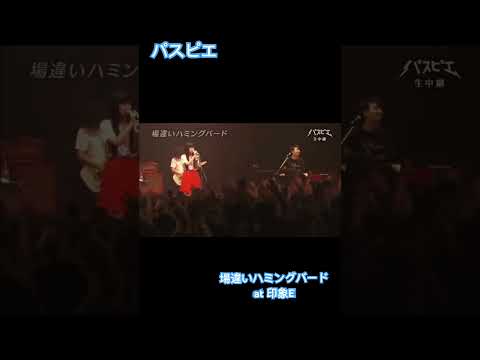 パスピエ Pspe Unisonsquaregarden 場違いハミングバード ライブ
