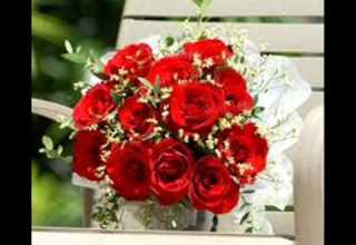 هيثم سعيد لسه باقى