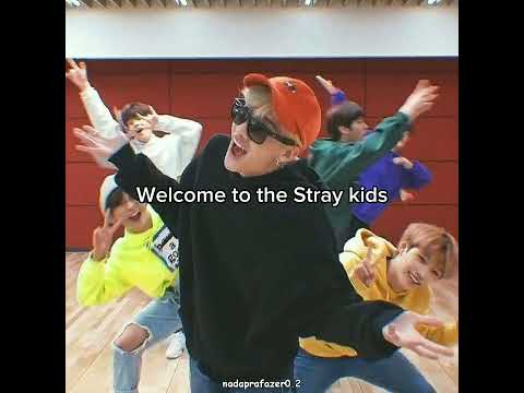 Welcome To The Stray Kids