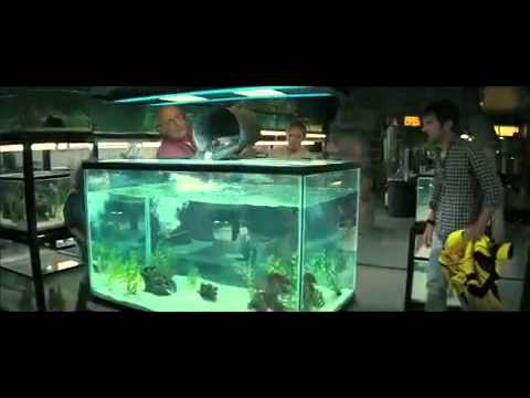 Signature Models And Talent Piranha 3d