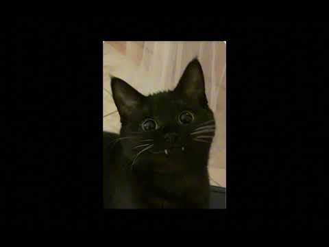 MENINA DO JOB X VICIADA EM SENTAR Slowed Reverb BEST PART MENINA DO JOB X VICIADA EM SENTAR Slowed Reverb BEST PART