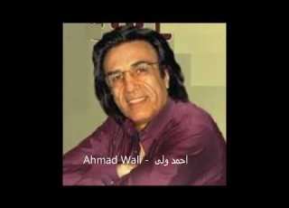 احمد ولی