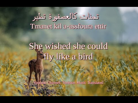 Saber Rebai Sayd Errim Tunisian Lyrics English Translation صابر الرباعي صيد الريم