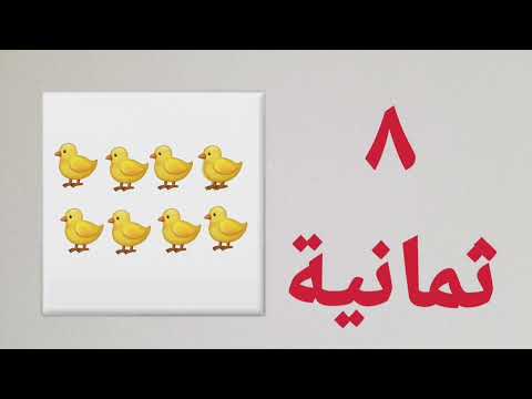 الرقم ثمانية ٨ تعليم الأرقام باللغة العربية للأطفال الرقم ثمانية ٨ تعليم الأرقام باللغة العربية للأطفال