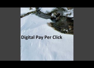  Digital Pay Per Click