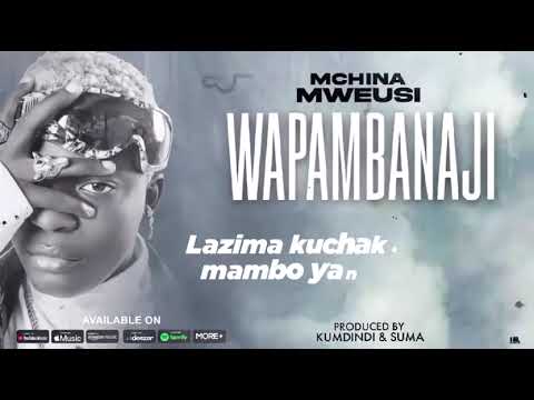 MCHINA MWEUSI WAPAMBANAJI Official Audio
