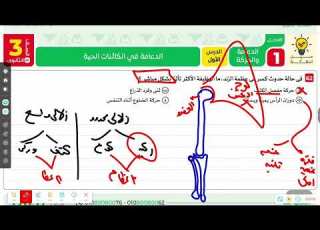  حل كتاب التفوق أحياء 2027 الهيكل الطرفي كامل أهم الأسئلة والتريكات للثانوية العامة