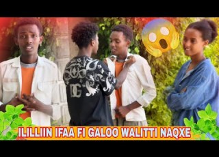  ILILLIIN IFAA FI GALATAA WAAL LOLCHISTEE