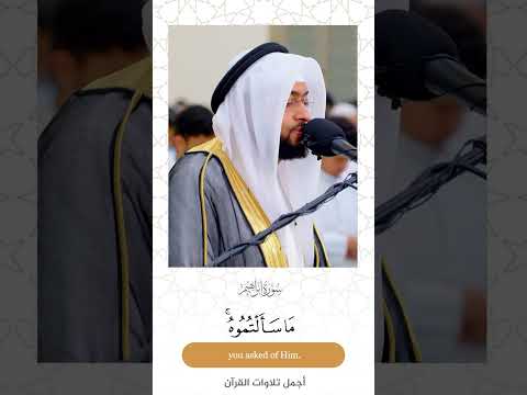 وآتاكم من كل ما سألتموه تلاوة بأسلوب خلاب من سورة إبراهيم القارئ أحمد النفيس وآتاكم من كل ما سألتموه تلاوة بأسلوب خلاب من سورة إبراهيم القارئ أحمد النفيس