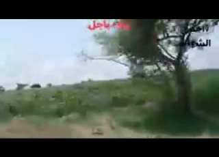 ريف باجل منضر الطبيعه تهامه