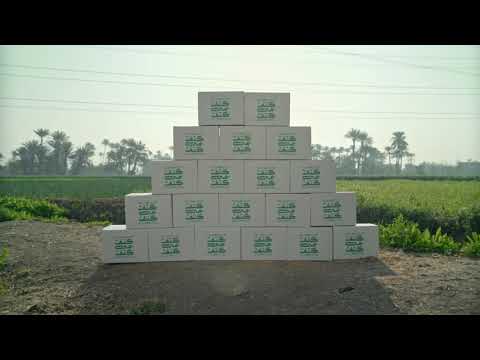 خليك عارف إن الخير هيفضل يلف طول ما إحنا كتف في كتف