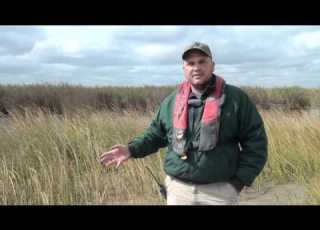Gulf Saver Bags Deployed At Pass A Loutre WMA