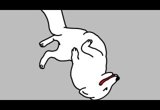 Darkside Dances For 3 Minutes And 46 Seconds