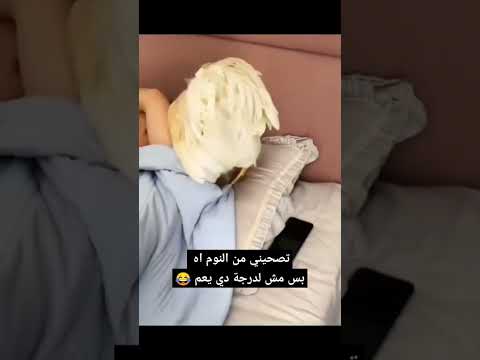 تصحيني من النوم اه بس مش لدرجة دي ياعم تصحيني من النوم اه بس مش لدرجة دي ياعم