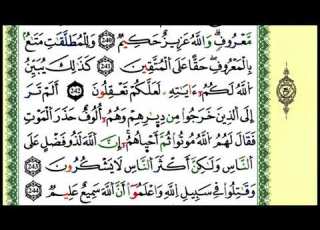 245 238 الصفحة 39 سورة البقرة من الآية