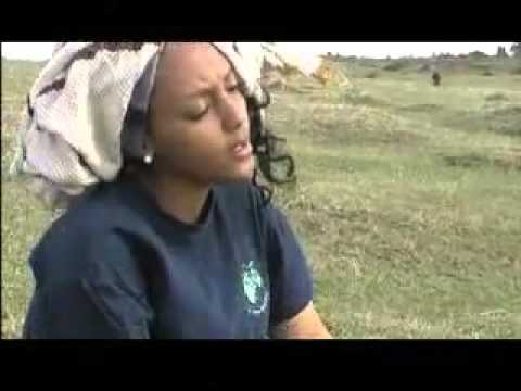 Galfatan Siin Jedha Bilisee Karrasaa