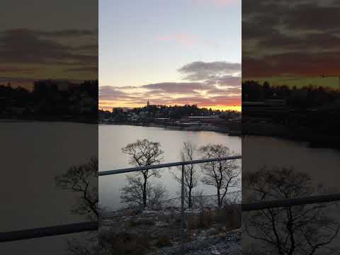 حمزه نمره كل الي معاك في الصوره غاب وطنك والأهل والصحاب الطبيعه الغروب حمزه نمره كل الي معاك في الصوره غاب وطنك والأهل والصحاب الطبيعه الغروب