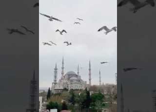  Beautiful Azan Voice By Mehdi Yarrahi 0