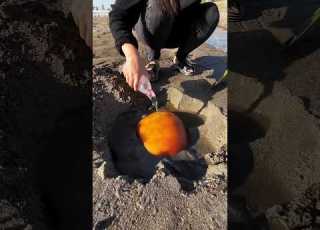  We Thought We Found Gold But ThisHappened Shortsfeed Viral