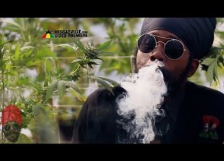  Ras Attitude Marijuana We Ah Bun Official Video 2016