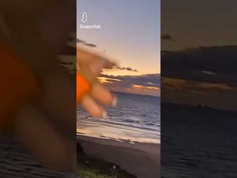 نقعدلك فيدال ونديرو لحلال