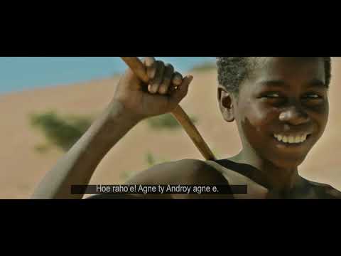 Stejhy HOE RAHO Ft Loic Shadow FOR ANDROY Lyrics Visualizer