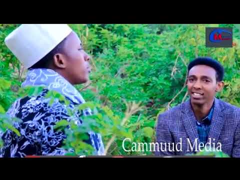 DAAWO SHEEKOOYIN QOSOL BADAN IYO SHUKAANSIGII MIYIGA CABDIWALI XASAN DHUUX IYO AXMED SHILKE