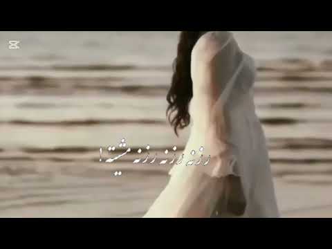 اللبوه محمود التركي جديد