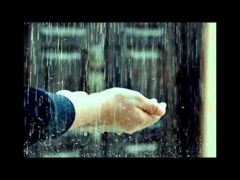 الله يخليهم وائل جسار