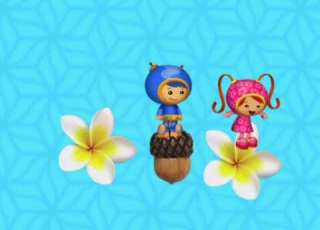 Nick Jr Move To The Music Team Umizoomi Flower Acorn 2010 2012