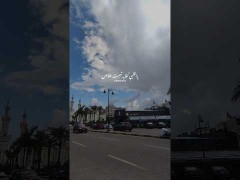 ياقلبي كفايه تعبت خلاص خالد الصيفي المنشد احمد حسن الاقصري ياقلبي كفايه تعبت خلاص حالات واتس