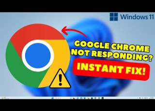  How To Fix Google Chrome Not Responding Windows 11